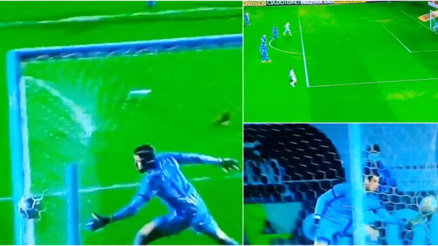 Canal-televisivo-repetiu-frango-4800-vezes-e-agora-vai-ter-de-indemnizar-o-guarda-redes