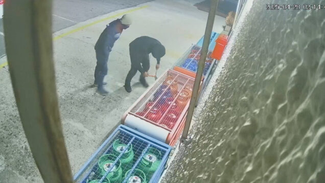 Encapuzados filmados a tentar  roubar botijas de gás num supermercado em Famalicão