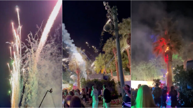 Fogo de artifício incendiou palmeira durante concerto dos Green Day no Coachella