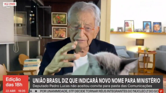 Gata invade emissão em direto e interrompe jornalista da GloboNews