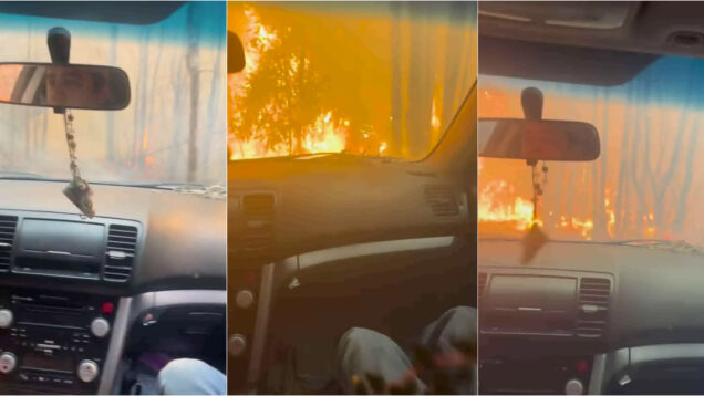 Homem salvou a família ao conduzir Subaru pelo meios das chamas no Chile