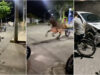 O-dia-em-que-cavalo-surgiu-desgovernado-numa-rua-onde-reinava-a-tranquilidade-e-causou-o-caos