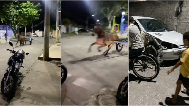 O-dia-em-que-cavalo-surgiu-desgovernado-numa-rua-onde-reinava-a-tranquilidade-e-causou-o-caos