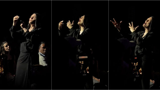 Jessie J canta I Have Nothing de Whitney Houston sem microfone e deixa público emocionado