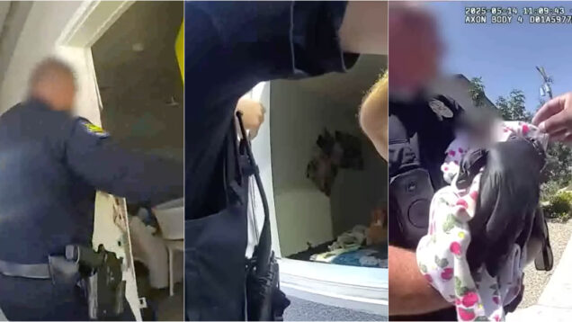 Bebé recém-nascido sobrevive vários dias ao lado do corpo da mãe