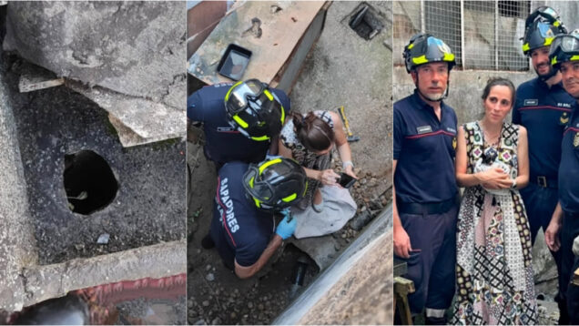 Bombeiros de Braga e PSP resgatam gatinho preso numa tubagem