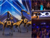 Robôs da Boston Dynamics dançam