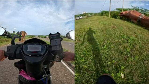 Turista filma momento tenso em que é atacado por elefante e escapa por pouco