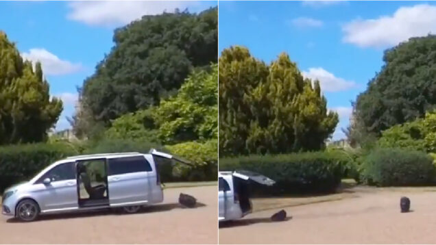 Comitiva presidencial de Emmanuel Macron sai apressada de Windsor e deixa para trás as malas