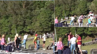 Homem atira duas cadeira a touro na Ilha Terceira e populares revoltam-se