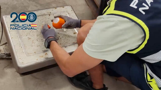 Polícia apreende 1.800 kg de droga camuflados como laranjas em Espanha