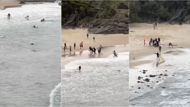 Surfistas salvam jovem que foi atacado por tubarão em praia na Austrália