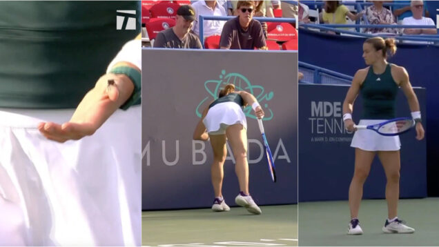 Tenista Maria Sakkari salvou inseto e apanha-bolas estragou o momento