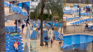 Turistas acordam cedo e dão tudo por uma espreguiçadeira em Benidorm