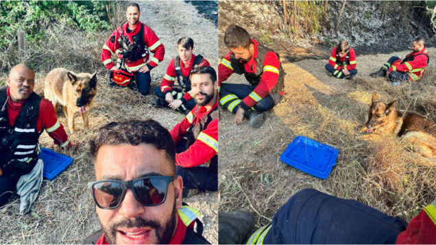 Cão resgatado em incêndio recusa-se a deixar Bombeiros da Trofa