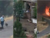 Elementos da GNR resgatam cães em pleno inferno das chamas na Pampilhosa da Serra