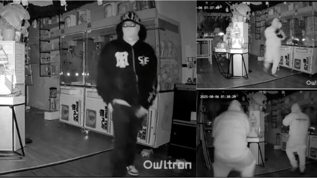 Ladrões roubam de 6 mil euros em bonecos Labubu deixam loja praticamente vazia