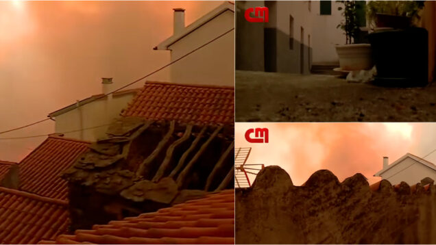 Os minutos de aflição vividos por Tânia Laranjo em Gramaça durante a passagem do fogo