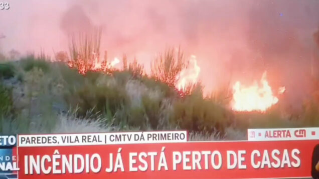 Tânia Laranjo ‘discute’ com militar da GNR por querer filmar incêndio em propriedade privada