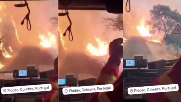 Vídeo mostra bombeiros a atravessar fogo em Piódão com o chefe a dar confiança ao condutor 1