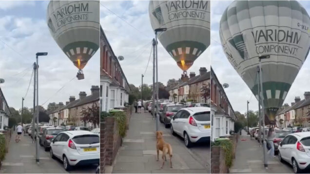 Balão de ar quente faz aterragem de emergência em Bedford graças à ajuda de moradores
