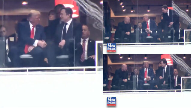 Elon Musk e Donald Trump cumprimentam-se durante memorial de ativista conservador Charlie Kirk