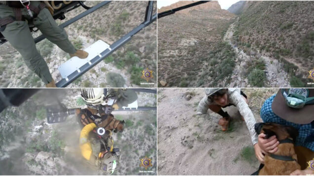 Cão cai de ravina e é resgatado por helicóptero no Arizona