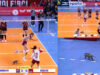 Gambá invadiu o campo em pleno jogo de voleibol deixou jogadoras apavoradas