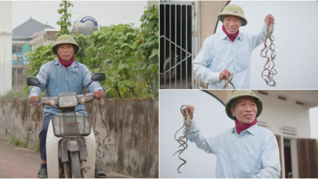 Homem do Vietname bate recorde mundial com unhas de quase 6 metros