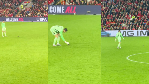 Rato invade jogo e dá baile a Courtois em pleno País de Gales-Bélgica