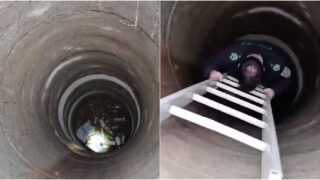 GNR detém idoso de 70 anos por atirar ninhada de cães a um poço em Ponte de Lima 1