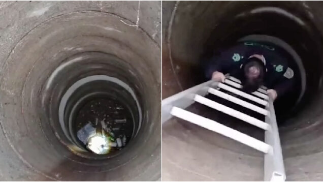 GNR detém idoso de 70 anos por atirar ninhada de cães a um poço em Ponte de Lima 1