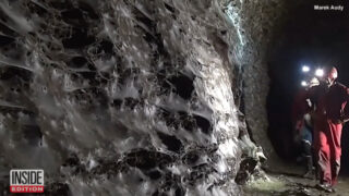 Maior teia de aranha do mundo descoberta revela colónia com mais de 100 mil aranhas