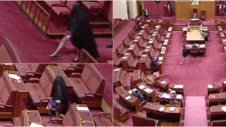 Senadora suspensa após protesto com burca no Parlamento australiano