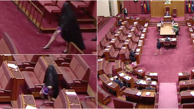 Senadora suspensa após protesto com burca no Parlamento australiano