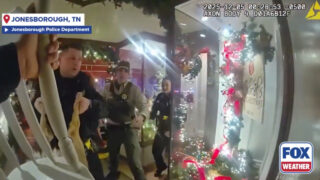 Rena causa caos em loja de Natal e acaba com a cabeça presa numa cadeira