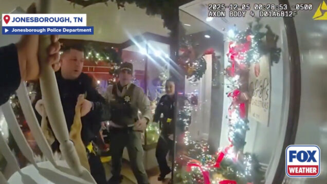 Rena causa caos em loja de Natal e acaba com a cabeça presa numa cadeira