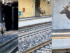 Veado invade estação de comboios em Itália e obriga a parar circulação ferroviária