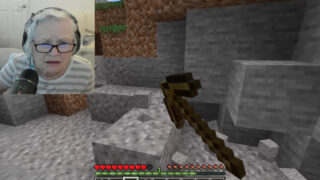Avó de 81 anos joga Minecraft para ajudar neto em tratamento contra o cancro
