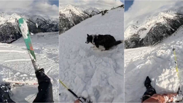 Esquiadora e cão escapam ilesos a avalanche em Andorra
