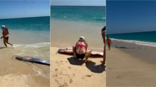 “Peixe do fim do mundo” surge numa praia do México e gera curiosidade