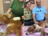 GNR resgatou cão que foi enterrado vivo em Mafra