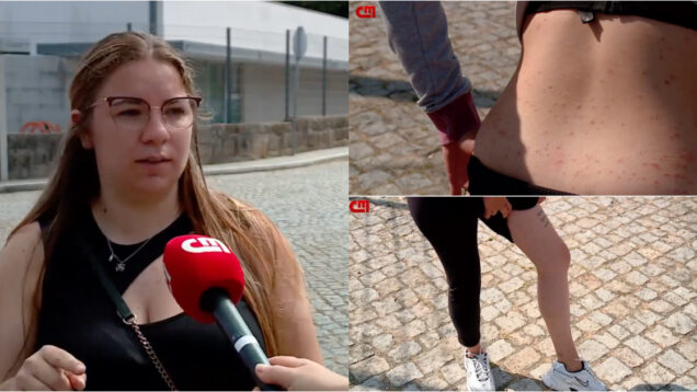 Praga de pulgas desespera moradores na Maia