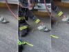 bombeiros-salvam-pombo-com-mascara-de-oxigenio-apos-incendio-nos-eua