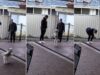 cao-ficou-tao-empolgado-que-aprendeu-uma-nova-maneira-de-andar