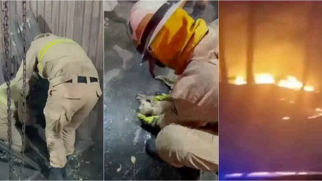 emocionante homenagem da polícia espanhola aos bombeiros portugueses