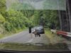 escapa-a-um-ataque-de-urso-pardo-na-romenia-sem-saber-como