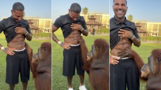 orangotango-poe-a-prova-os-abdominais-de-quaresma