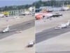 Fiat Panda colide com jato privado na pista de aeroporto em Milão