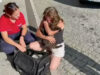 Gato de Braga volta a casa após três anos desaparecido na Bélgica